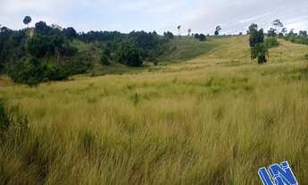Imagem 6: Fazenda com 120 Tarefas em Teodoro Sampaio - Bahia