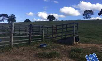 Imagem 2: Fazenda com 70 Tarefas em Alagoinhas - Bahia