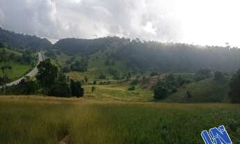 Imagem 2: Fazenda com 120 Tarefas em Teodoro Sampaio - Bahia