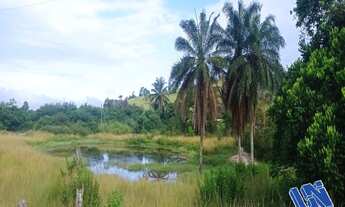 Imagem 4: Fazenda com 120 Tarefas em Teodoro Sampaio - Bahia