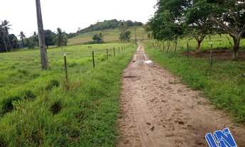 Imagem 2: Fazenda em São Sebastião do Passé - Bahia com 516 Tarefas