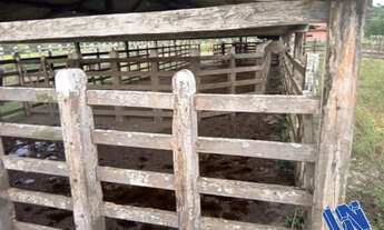 Imagem 6: Fazenda em São Sebastião do Passé - Bahia com 516 Tarefas