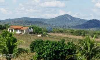 Imagem 2: Fazenda com 174 hectares em Jaguará-Ba