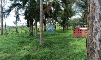 Imagem: Fazenda em Boa União com 450 tarefas