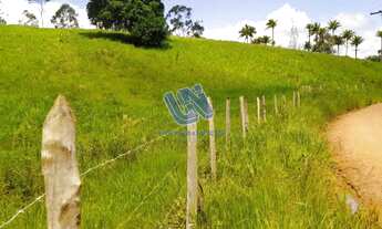 Imagem 5: Fazenda em Teolândia com 143 tarefas