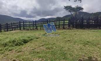 Imagem 3: Fazenda com 110 tarefas em Serra Preta-BA