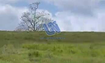 Imagem 4: Fazenda com 16 Tarefas em São Sebastião do Passé