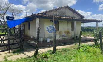 Imagem 6: Fazenda Rural em SÃO SEBASTIÃO DO PASSÉ - BA, ZONA RURAL