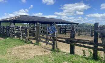 Imagem 3: Fazenda Rural em SÃO SEBASTIÃO DO PASSÉ - BA, ZONA RURAL