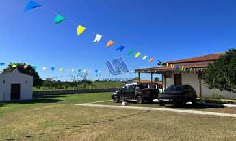 Imagem 4: Fazenda com 93 Hectares (223 tarefas) em Anguera - Bahia