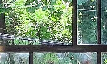 Imagem 4: VENDA COBERTURA DIFERENCIADA NO RIO VERMELHO, 252M², PISCINA E ELEVADOR PRIVATIVO A 50M DO