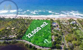 Imagem 5: TERRENO EM BUSCA VIDA EXCLUSIVO, COM 100M DE PRAIA PRIVATIVA!