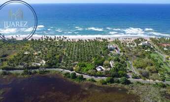 Imagem 4: TERRENO EM BUSCA VIDA EXCLUSIVO, COM 100M DE PRAIA PRIVATIVA!