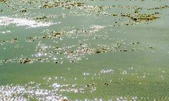 Imagem 6: TERRENO EM PRAIA DO FORTE NO COND. PISCINAS NATURAIS NA ALAMEDA DAS TARTARUGAS COM 630M2 D