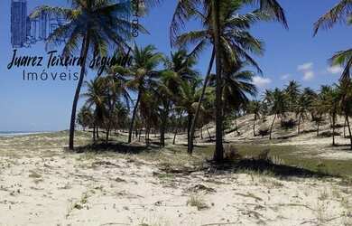 Imagem 4: Terreno no Litoral Norte Baiano com 38 hectares e a 200 metros frente de praia!