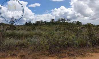 Imagem 2: TERRENO NA PENÍNSULA DE MARAÚ COM 18 HECTARES, ZONA DO RIO DO CAMPO!