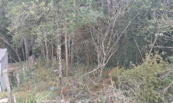 Imagem: TERRENO RESIDENCIAL em Campos do Jordão