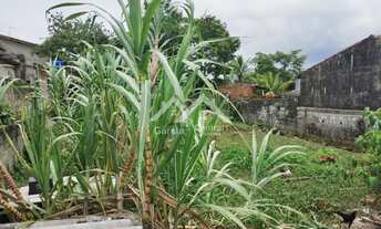 Imagem 4: Terreno em Peruíbe