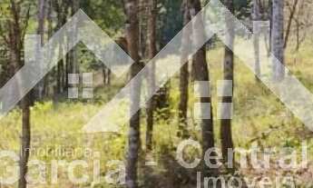 Imagem 7: Sítio em Pedro de Toledo