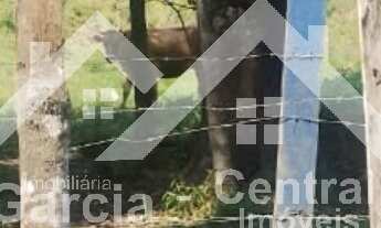 Imagem 6: Sítio em Pedro de Toledo