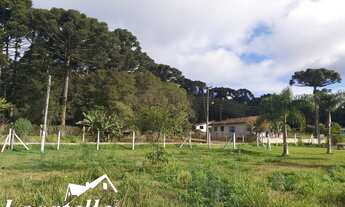 Imagem 2: 4 dormitórios na Rua Arnaldo Santana