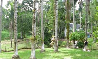 Imagem 4: Excelente sitio com 5 lagoas de peixes próximo a Luiz Alves