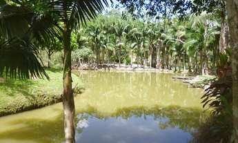 Imagem 5: Excelente sitio com 5 lagoas de peixes próximo a Luiz Alves