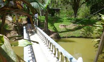 Imagem 6: Excelente sitio com 5 lagoas de peixes próximo a Luiz Alves