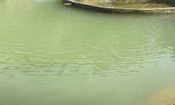 Imagem: 2 dormitórios na Rua Germano Vequi