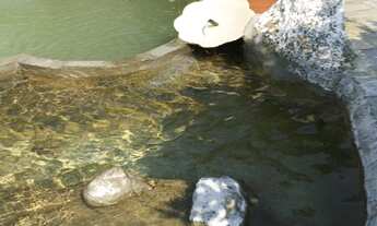 Imagem 5: 2 dormitórios na Rua Germano Vequi