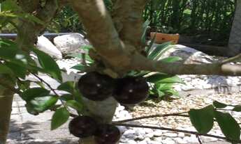 Imagem 6: 2 dormitórios na Rua Germano Vequi