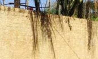 Imagem 2: Chácara no Recreio Internacional, com uma área construída de 800 m2 em um terreno de 5.000