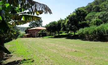 Imagem 3: Sítio com 39.690 m² a 3 km da cidade de Brodowski, com asfalto na porta