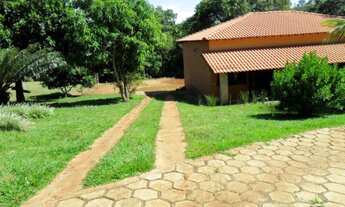 Imagem 6: Sítio com 39.690 m² a 3 km da cidade de Brodowski, com asfalto na porta