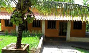 Imagem 7: Sítio com 39.690 m² a 3 km da cidade de Brodowski, com asfalto na porta