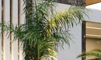 Imagem: 3 dormitórios, 3 suíte, 5 banheiro, 4