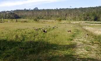 Imagem 2: Chácara de 10 mil m² em Piçarras