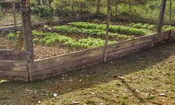 Imagem 3: Chácara de 10 mil m² em Piçarras