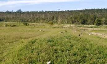 Imagem 4: Chácara de 10 mil m² em Piçarras