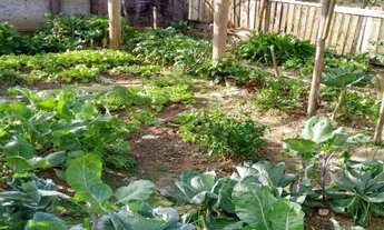 Imagem 5: Chácara de 10 mil m² em Piçarras