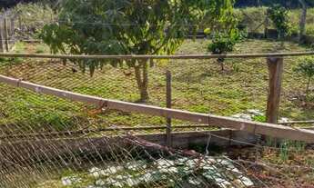 Imagem 7: Chácara de 10 mil m² em Piçarras