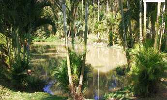 Imagem 3: Sítio com ótima casa em Piçarras