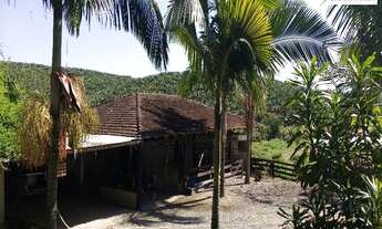 Imagem 5: Sítio com ótima casa em Piçarras