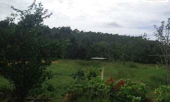 Imagem 2: Chácara a venda ou permuta