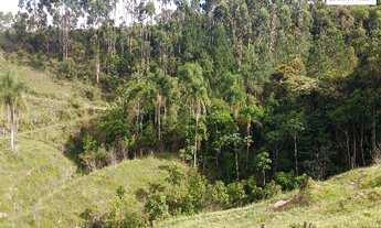 Imagem 4: Área de 50 Hectares