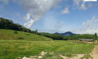 Imagem 2: Área de 50 Hectares