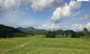 Imagem 3: Área de 50 Hectares