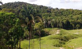 Imagem 6: Área de 50 Hectares