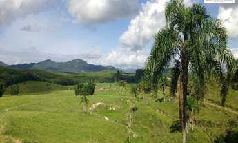 Imagem 5: Área de 50 Hectares