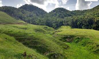Imagem 7: Área de 50 Hectares